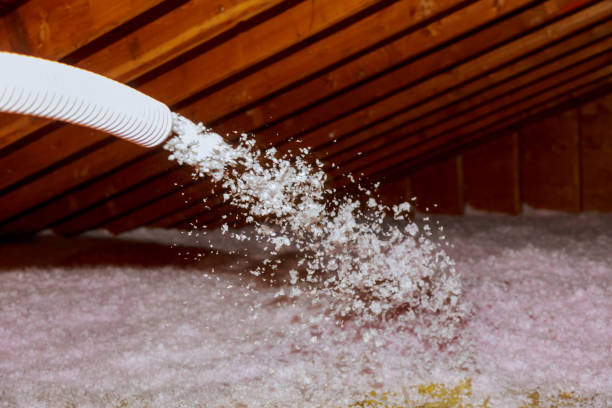 Best Fiberglass Insulation in Thomaston, GA