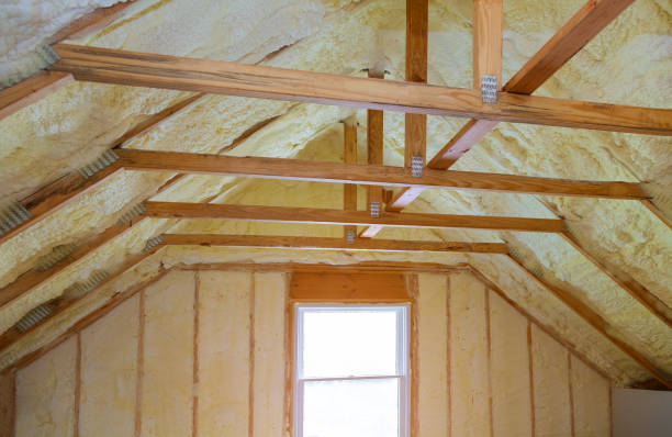 Best Geographic-Specific Insulation Services in Thomaston, GA