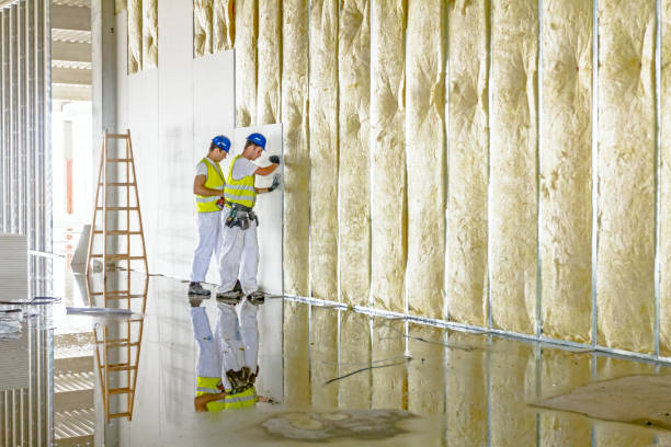 Best Cellulose Insulation in Thomaston, GA
